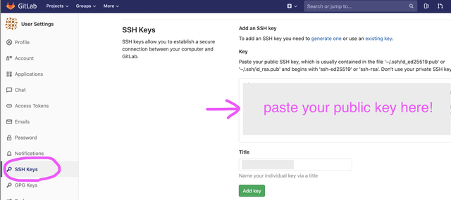 ssh paste area