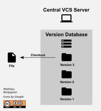 localVersionControlSystems