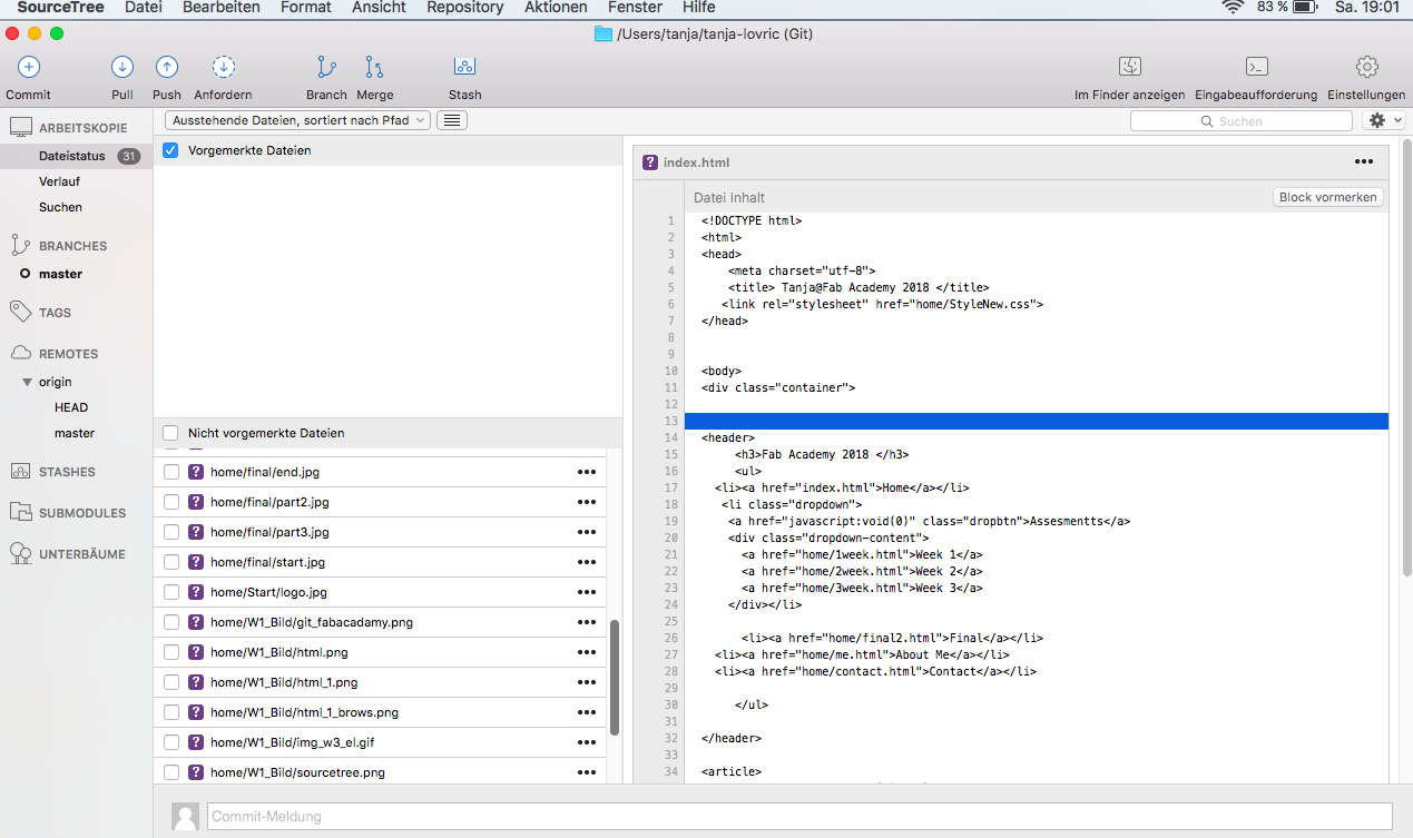 source tree@git local file