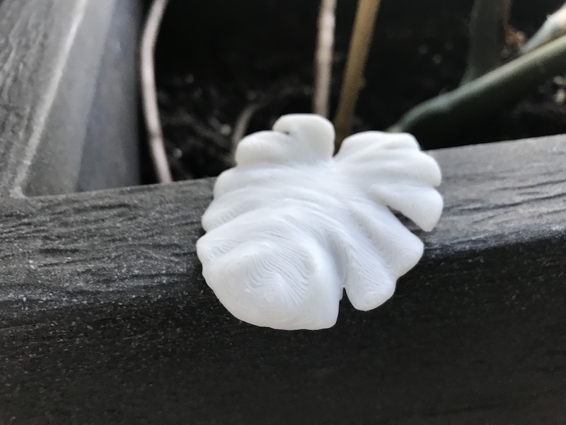 monstera scan 3d print