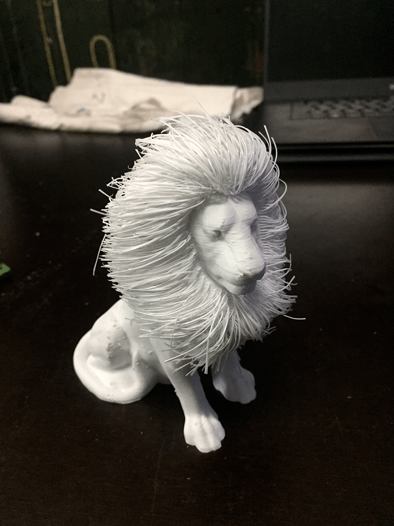 lion