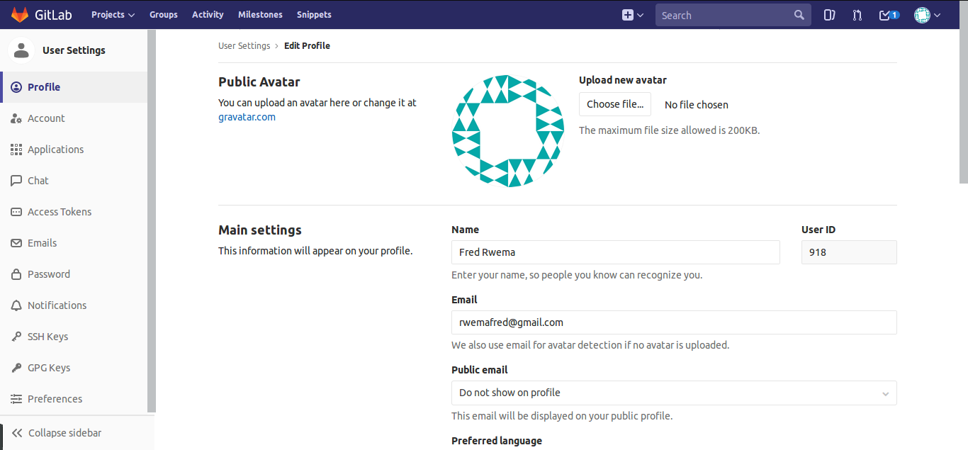 Img: Gitlab settings