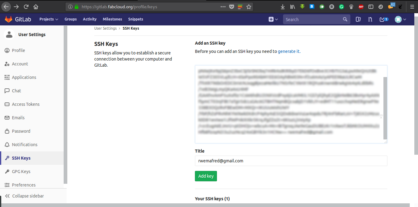 Img: Pasting SSH keys