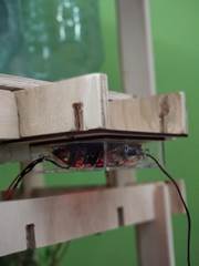 Descripci�n: C:\Users\Rafael\Documents\Fa_Lab\Fab_Academy\Documentation\Final_Project\WhatsApp Image 2018-06-12 at 20.48.59 (1).jpeg