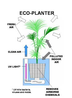 PLANT AIR 2