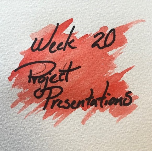 Project Development & Presentation