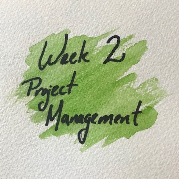 Project Management