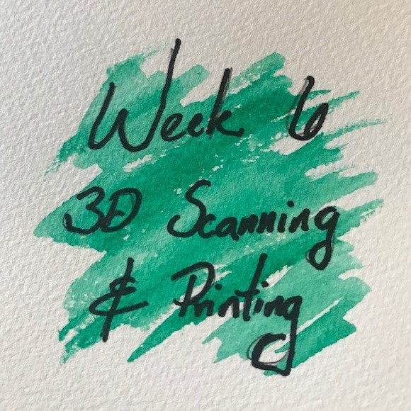 3D Scanning and Printing