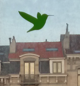 Humming-bird sticker flying over the roofs of Bruxelles Humming-bird sticker
