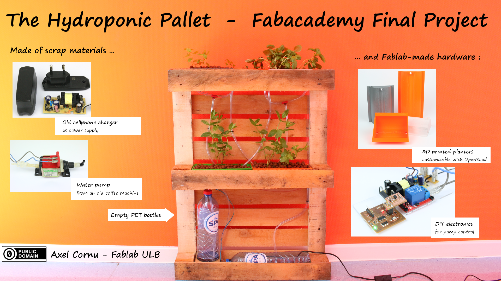 Final project presentation Final project presentation