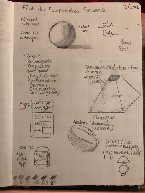 Initial project sketch