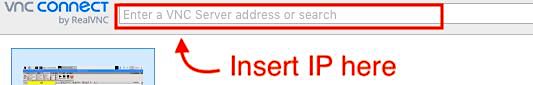 Real VNC IP
