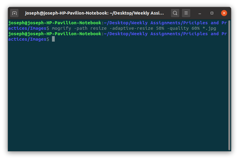 screenshot of folder
