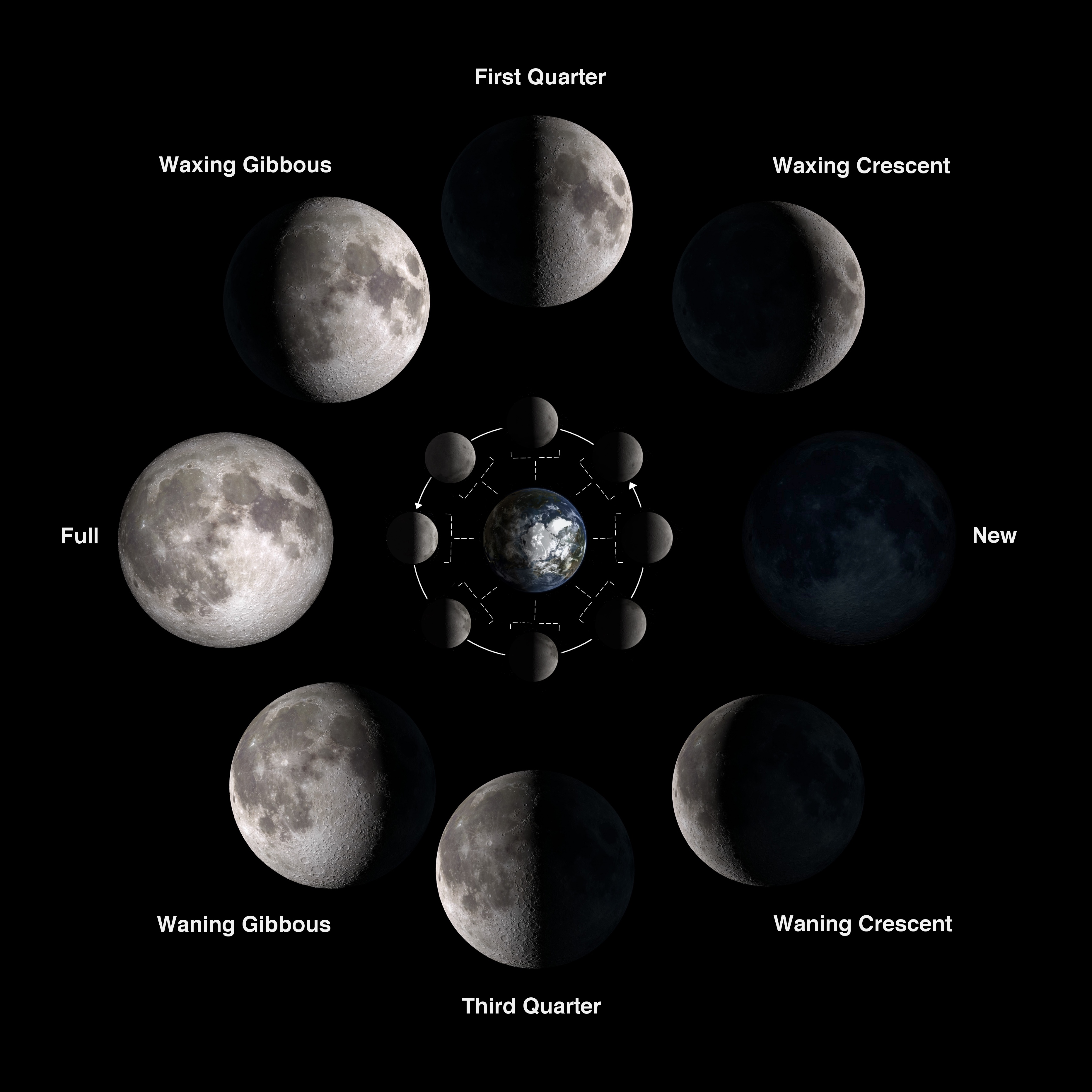 Moon Phases