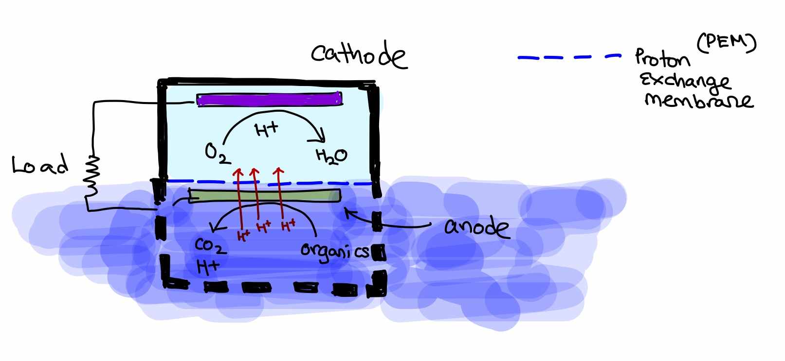 fuelcell_action.jpg