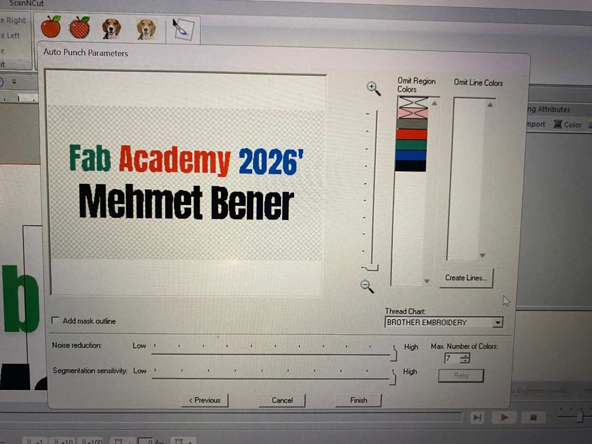 Embroidery software design preview