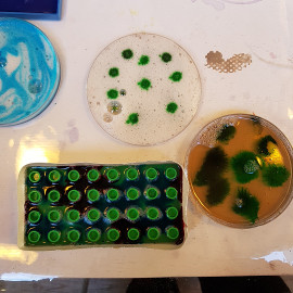 gelatin samples