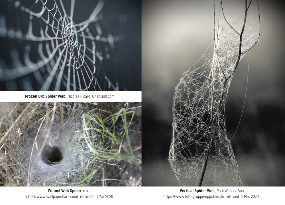 Spider Webs